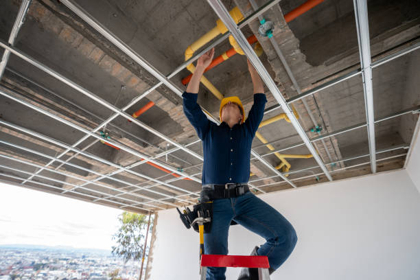 Best Leak Detection Services  in Fair Plain, MI