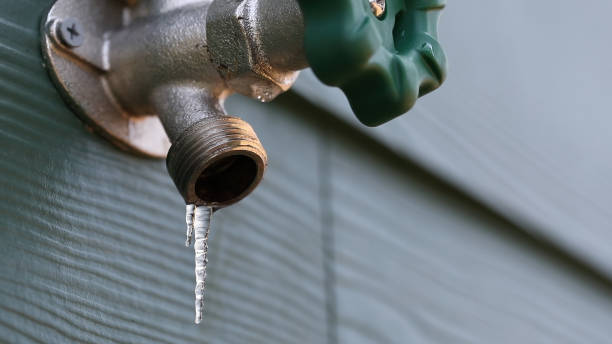 Best Affordable Plumber Near Me  in Fair Plain, MI