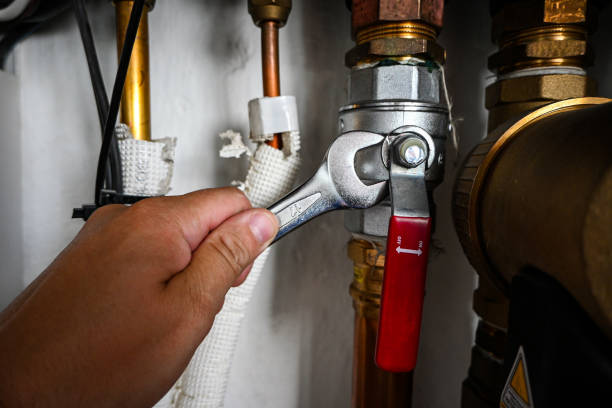 Best Sewer Line Repair  in Fair Plain, MI